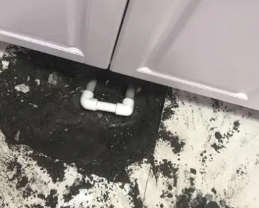 三明查漏水哪家好
